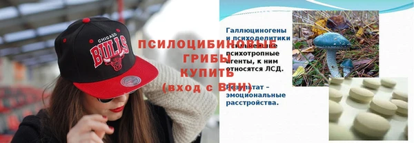мяу мяу мука Белая Холуница